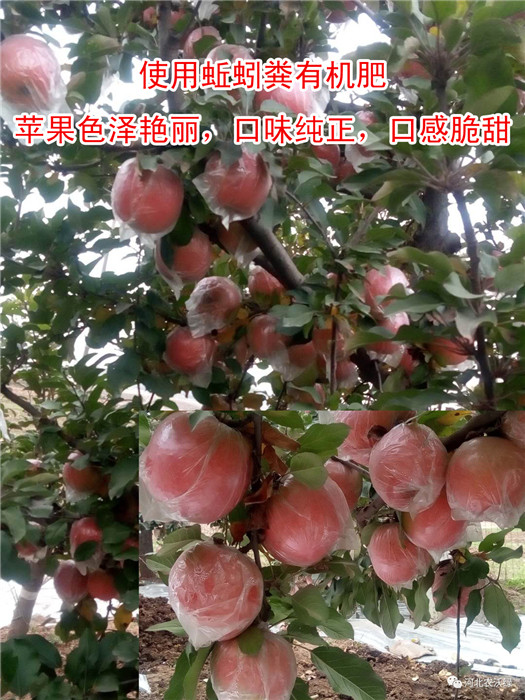 OʹЧ